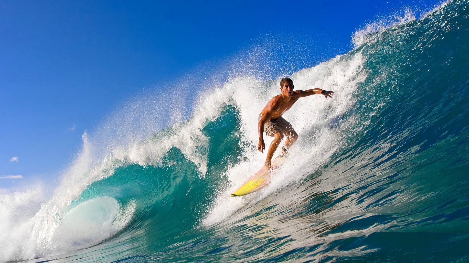从泥泞球场到世界舞台的崛起,从泥泞到白昼